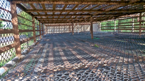 เหลือกระบะเทลเลอร์  กรงเป็ดขายแล้ว... ราคาว่ามา