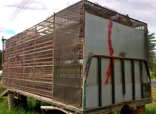 เหลือกระบะเทลเลอร์  กรงเป็ดขายแล้ว... ราคาว่ามา