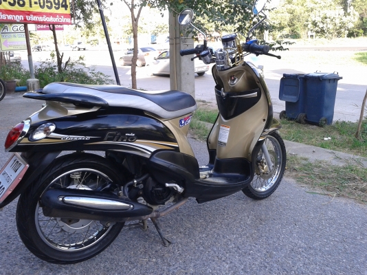 ฟีโน่ ปี 55