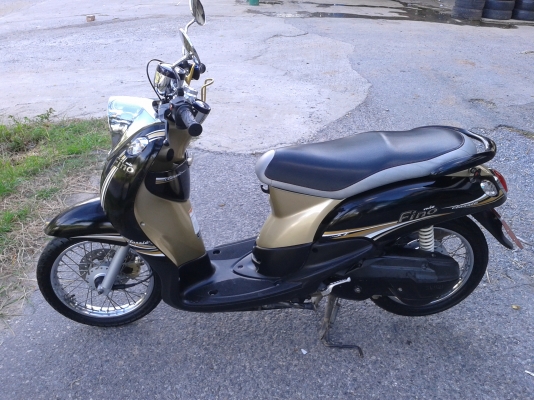 ฟีโน่ ปี 55