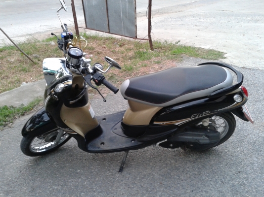 ฟีโน่ ปี 55