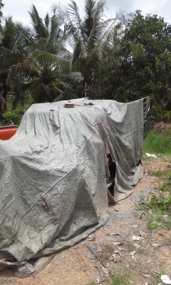 ซากไมตี้ ทบ.โอน