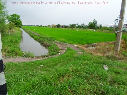 @@@   ติดถนน ลำลูกกาคลอง10 (ทำเลทอง)ปทุมธานี   @@@