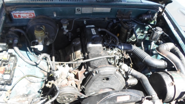 ขายตัดไมตี้แค็ปปี96 ขายตัดไมตี้แค็ปปี96