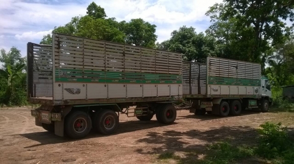 ขาย ISUZU DECA 320 ปี 49 คัสซีสวยตลอดเส้น เครื่องเดิม เกียร์เดิม ลูก 3 คาน 7 เมตร ทะเบียนพร้อมโอนครับ ขาย ISUZU DECA 320 ปี 49 คัสซีสวยตลอดเส้น เครื่องเดิม เกียร์เดิม ลูก 3 คาน 7 เมตร ทะเบียนพร้อมโอนครับ