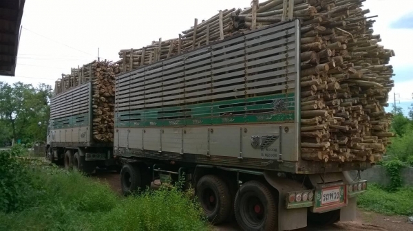 ขาย ISUZU DECA 320 ปี 49 คัสซีสวยตลอดเส้น เครื่องเดิม เกียร์เดิม ลูก 3 คาน 7 เมตร ทะเบียนพร้อมโอนครับ ขาย ISUZU DECA 320 ปี 49 คัสซีสวยตลอดเส้น เครื่องเดิม เกียร์เดิม ลูก 3 คาน 7 เมตร ทะเบียนพร้อมโอนครับ