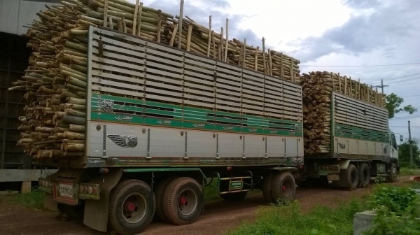 ขาย ISUZU DECA 320 ปี 49 คัสซีสวยตลอดเส้น เครื่องเดิม เกียร์เดิม ลูก 3 คาน 7 เมตร ทะเบียนพร้อมโอนครับ ขาย ISUZU DECA 320 ปี 49 คัสซีสวยตลอดเส้น เครื่องเดิม เกียร์เดิม ลูก 3 คาน 7 เมตร ทะเบียนพร้อมโอนครับ