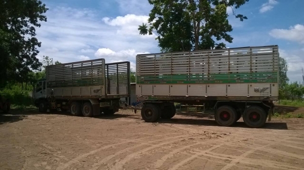 ขาย ISUZU DECA 320 ปี 49 คัสซีสวยตลอดเส้น เครื่องเดิม เกียร์เดิม ลูก 3 คาน 7 เมตร ทะเบียนพร้อมโอนครับ ขาย ISUZU DECA 320 ปี 49 คัสซีสวยตลอดเส้น เครื่องเดิม เกียร์เดิม ลูก 3 คาน 7 เมตร ทะเบียนพร้อมโอนครับ