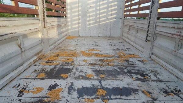 ขาย กระบะล่องไม่ดั้ม PACO ขาย กระบะล่องไม่ดั้ม PACO