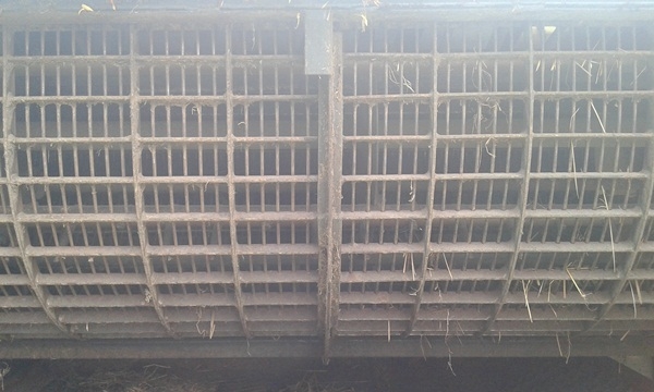 รถเกี่ยวข้าว คูโบต้า DC60ปี 53พร้อมเทเลอร์ เล่มทะเบียน