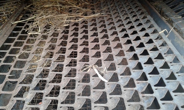 รถเกี่ยวข้าว คูโบต้า DC60ปี 53พร้อมเทเลอร์ เล่มทะเบียน