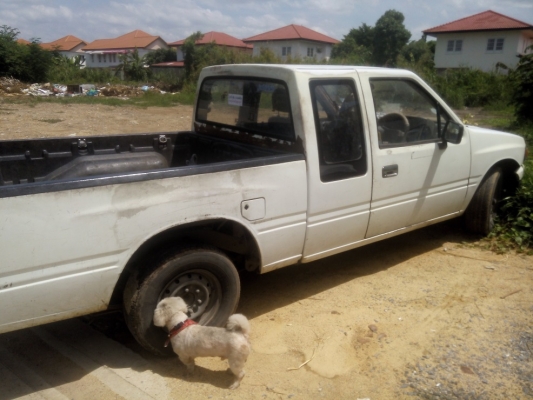 ขายแล้วขอบคุณครับ **ถูก มังกรทองแค็ป ฝาทอง พาวเว่อร์แท้โรงงาน HPY หน้าเดิม ได้บาง