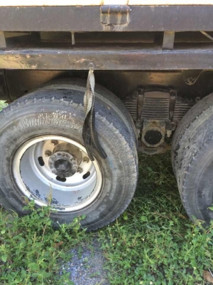 ขาย มิสซูบิชิ ฟูโซ่ (Mitsubishi FUSO)