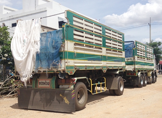 รถเจ้าของฝากขาย ขายรถพ่วง20ล้อ ดัมพ์ ISUZU DECA ยูโร3 รุ่น 300 จดทะเบียน ธค.52 แม่ 12ล้อ ลูก 2เพลา ดัมพ์เหล็กคอกเกษตร