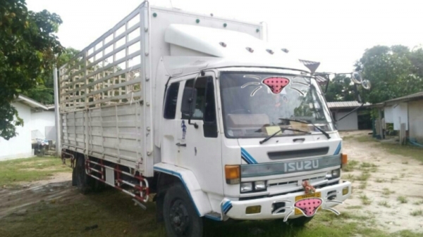 หกล้อใหญ่ อีซูซุ TFR ร็อค195แรง ยาว7.20ม สภาพดีสวยพร้อมใช้งาน ทะเบียนพร้อมโอน ( ราคา 580,000 บ ) ต่อรองได้ครับ