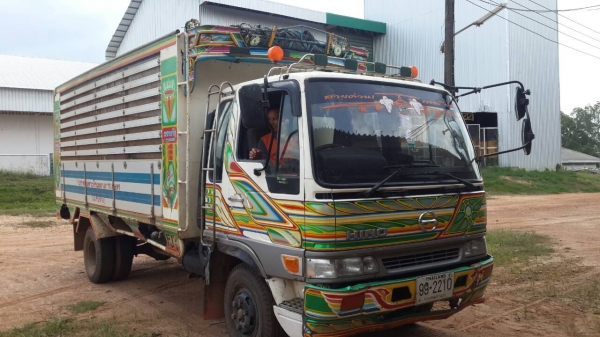 ขายถูก ด่วนๆๆๆๆๆๆๆๆๆๆๆๆๆรถบรรทุก6 ล้อดั้มเกษตร HINO FG2 สวยพร้อมใช้