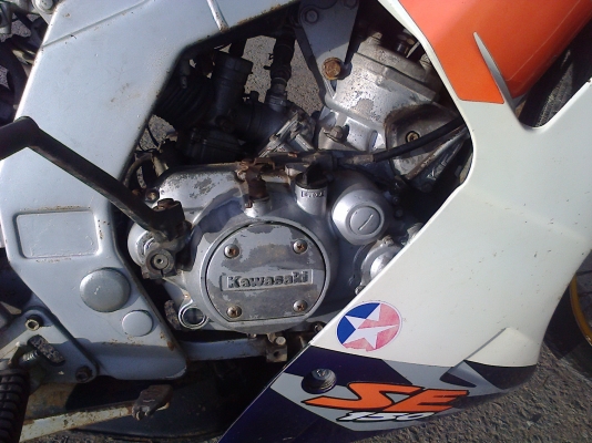 ขาย SERPICO รหัสเสื้อ 1724