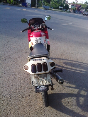 ขาย SERPICO รหัสเสื้อ 1724