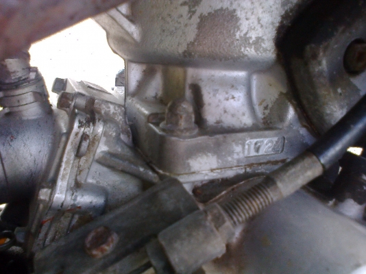 ขาย SERPICO รหัสเสื้อ 1724