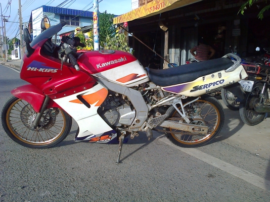 ขาย SERPICO รหัสเสื้อ 1724