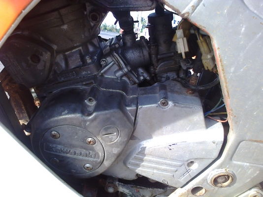 ขาย SERPICO รหัสเสื้อ 1724