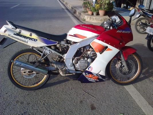 ขาย SERPICO รหัสเสื้อ 1724