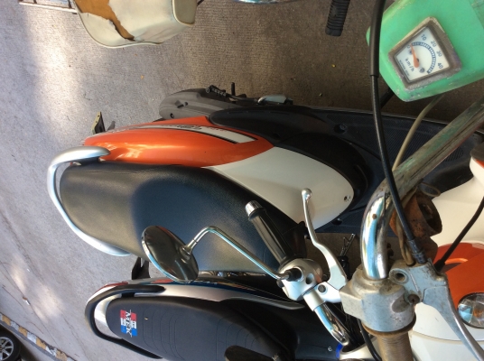 ขาย fino ขาย fino