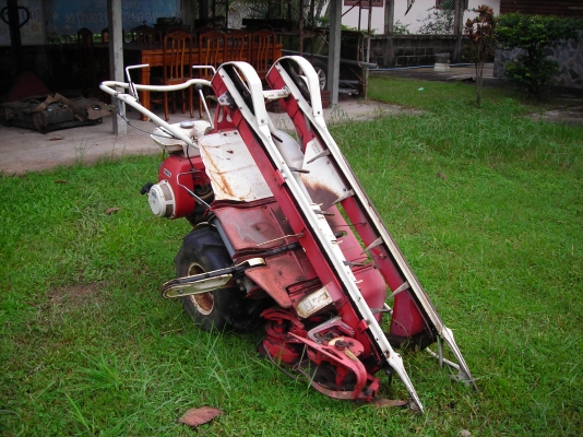 ขายด่วน