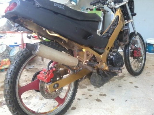 honda dash 125 ตัวแรง honda dash 125 ตัวแรง