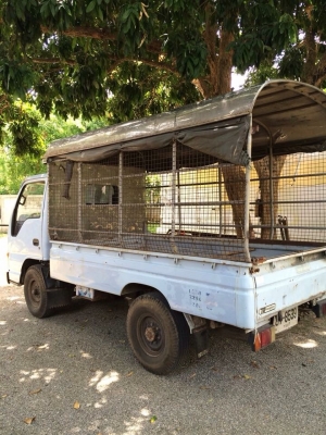 ขาย 4 ล้อ ห้างสภาพดี พร้อมใช้