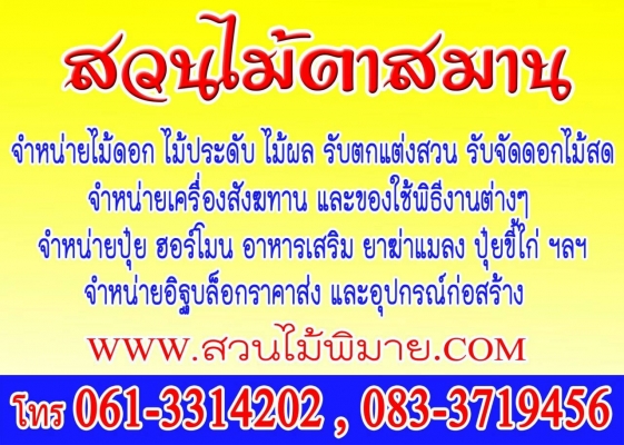 ไม้ดอกไม้ประดับ