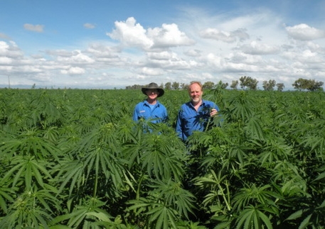 ซีโอไลท์ผสมปุ๋ยเคมีเพื่อลดต้นทุนปุ๋ย