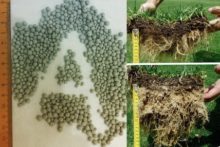 ซีโอไลท์ผสมปุ๋ยเคมีเพื่อลดต้นทุนปุ๋ย