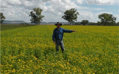 ซีโอไลท์ผสมปุ๋ยเคมีเพื่อลดต้นทุนปุ๋ย