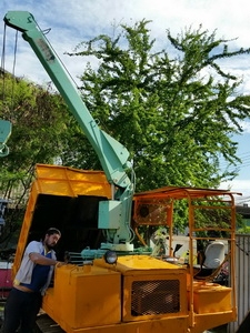 มาแล้วนะครับ - รถบรรทุก ตีนตะขาบ ดั๊มเปอร์ dumper : HITACHI CH 40-2 ติดเครน 3 ตัน ยกดั๊มได้ พร้อมใช้งาน มาแล้วนะครับ - รถบรรทุก ตีนตะขาบ ดั๊มเปอร์ dumper : HITACHI CH 40-2 ติดเครน 3 ตัน ยกดั๊มได้ พร้อมใช้งาน