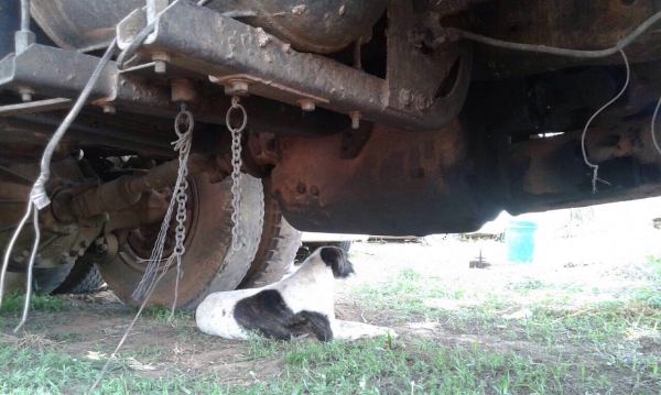 ขายด่วนรถบรรทุก10ล้อ