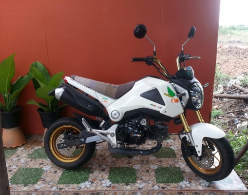 ขายmsxเดิมๆ