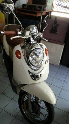 ขายฟีโน่ ปี 53 (เจ้าของขายเอง)