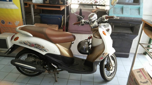 ขายฟีโน่ ปี 53 (เจ้าของขายเอง) ขายฟีโน่ ปี 53 (เจ้าของขายเอง)