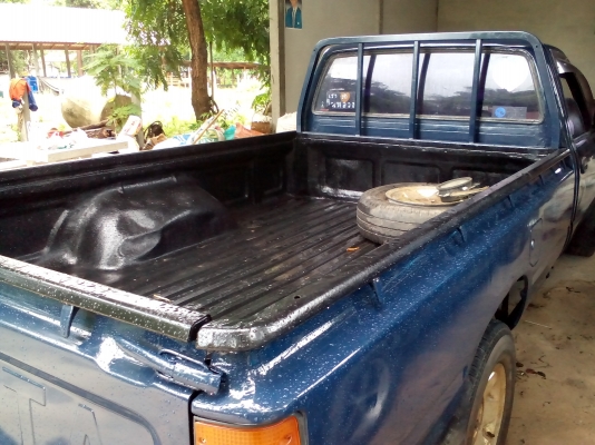 ไมตี้หัวเดียวราคาจิ้บๆ ไมตี้หัวเดียวราคาจิ้บๆ