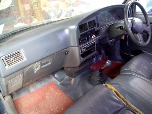 ไมตี้หัวเดียวราคาจิ้บๆ ไมตี้หัวเดียวราคาจิ้บๆ