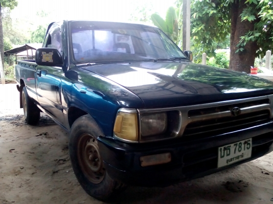 ไมตี้หัวเดียวราคาจิ้บๆ ไมตี้หัวเดียวราคาจิ้บๆ