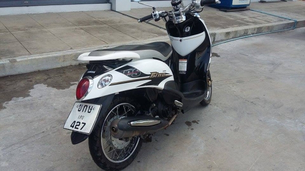 ขาย fino ps ขาวดำ ปี56 ขาย fino ps ขาวดำ ปี56