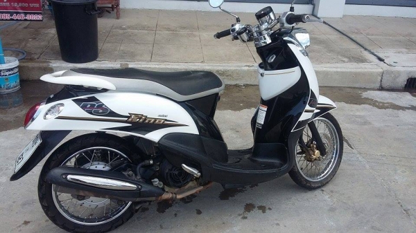 ขาย fino ps ขาวดำ ปี56 ขาย fino ps ขาวดำ ปี56