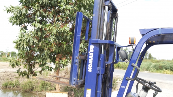 ขายด่วนรถยกKOMATSU FG23-12 ยก2.3ตันยกสูง3เมตรรถนอกนำเข้ายังไม่เคยใช้งานในเมืองไทยเลยชั่วโม่งทำงานน้อยรุ่นใหม่ขายถูกๆๆ ขายด่วนรถยกKOMATSU FG23-12 ยก2.3ตันยกสูง3เมตรรถนอกนำเข้ายังไม่เคยใช้งานในเมืองไทยเลยชั่วโม่งทำงานน้อยรุ่นใหม่ขายถูกๆๆ