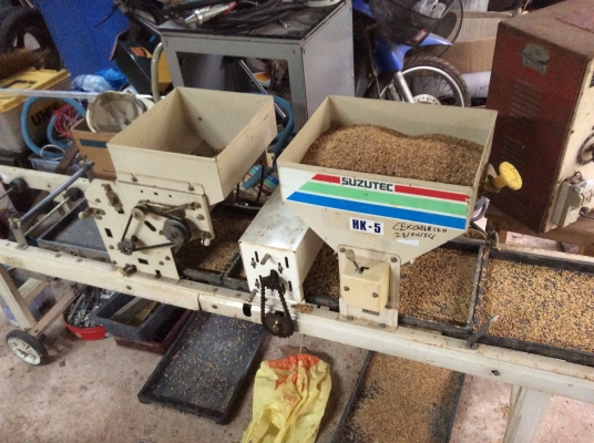 ขายเครื่องโรยข้าวถาดเพาะกล้า ขายเครื่องโรยข้าวถาดเพาะกล้า