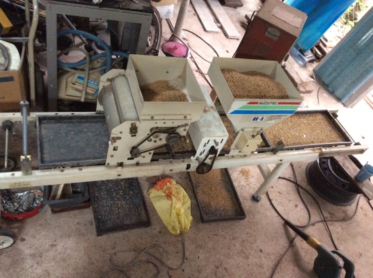 ขายเครื่องโรยข้าวถาดเพาะกล้า ขายเครื่องโรยข้าวถาดเพาะกล้า