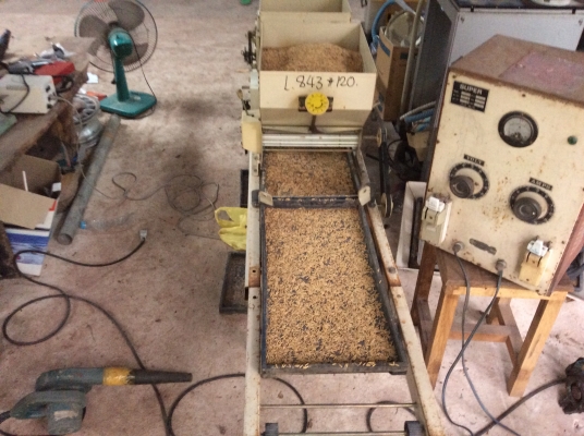 ขายเครื่องโรยข้าวถาดเพาะกล้า ขายเครื่องโรยข้าวถาดเพาะกล้า