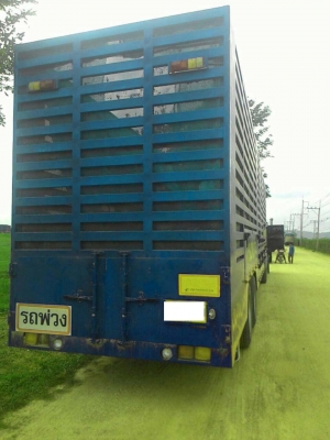 Isuzu Deca FXZ23NZPF/ CNG 10 ถัง เครื่องฟิตใหม่/ ยางเพิ่งเปลี่ยน/ หางท้องช้างยาว 13 เมตร