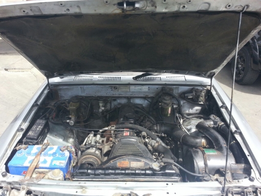 ไมตี้แค๊ป สีสวย พร้อมใช้ ไมตี้แค๊ป สีสวย พร้อมใช้